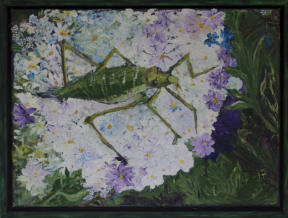 40 cm x 30 cm