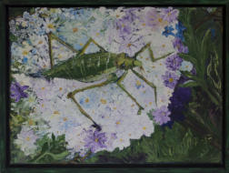 40 cm x 30 cm