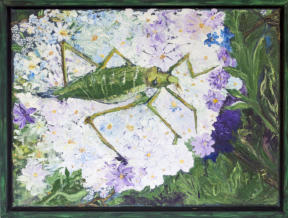 40 cm x 30 cm